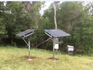 Solar Pumps – Call Us Now: 1300864676